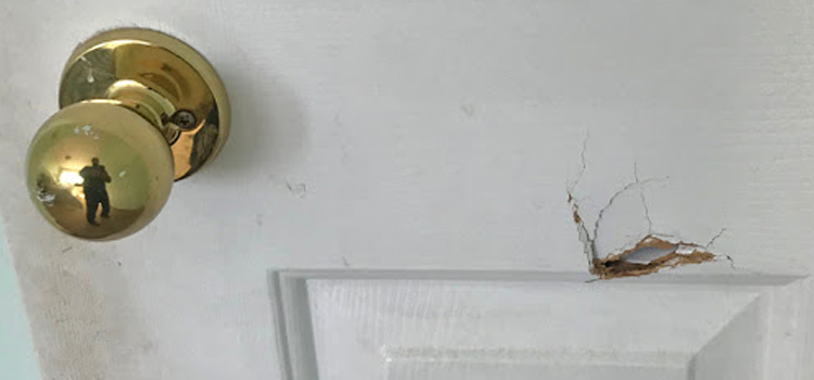 interior door hole repair Mill Valley