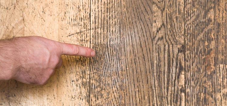 Wood Door Scratch Repair in Mill Valley